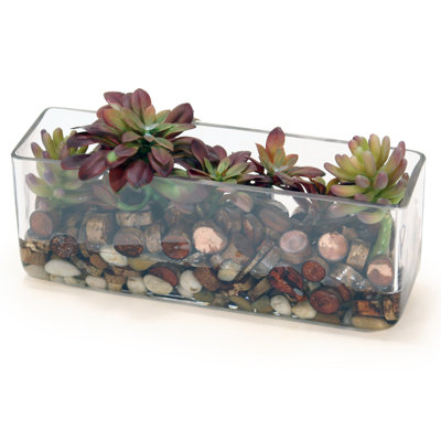 Plantes grasses artificielles en pot 1,5 po Fernand