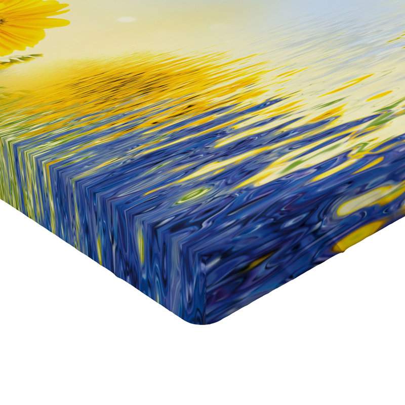 Drap-housse Ambesonne, California King Sheet Set