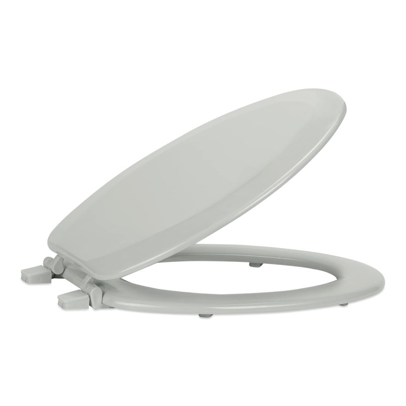 Siège de toilette allongé, s'adapte à tous les appareils de taille allongée, facile à installer, décoration intérieure (argent)