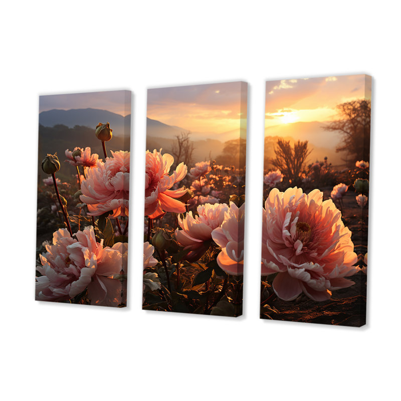 Radiant Peones Field At Sunrise - Pivoine, ensemble d'art sur toile, H 40 po x l 60 po x P 1 po