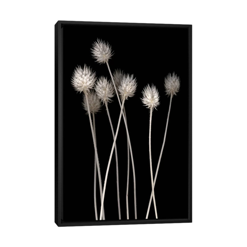 «Dried Up I», impression sur toile, H 26 po x l 18 po x P 1,5 po, Toile avec cadre noir, Pas de tapis