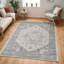 Oriental Area Rug-431876140