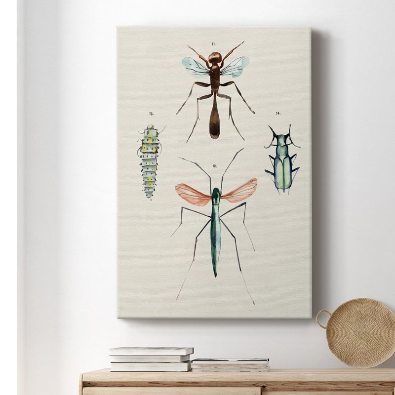 Insect Variétés III - peinture sur toile tendue, H 18 po x l 12 po x P 1 po