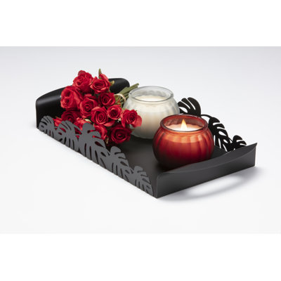Metal Tray