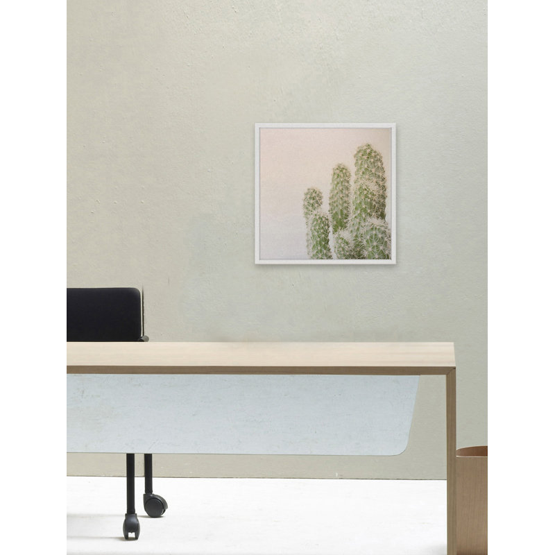 Cadre photo « fuzzy cactus », impression sur papier, H 12 po x l 12 po x P 1,5 po, Cadre blanc