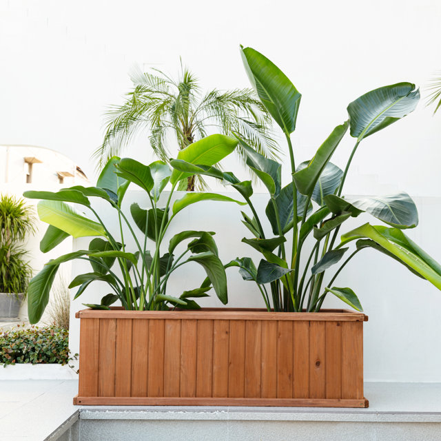 Spring outdoor refresh