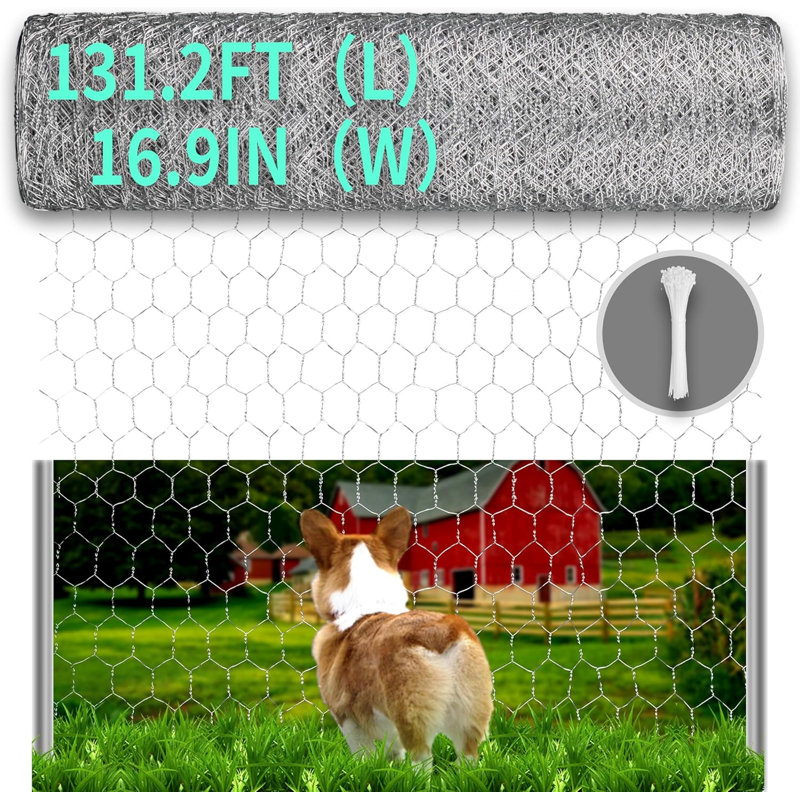 Chicken Wire - Filet de volaille pour jardin 16,9 po x 131,2 pi