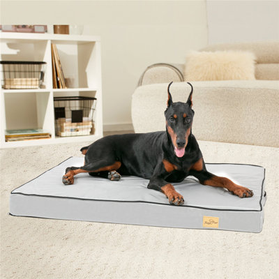 Coussin Pet
