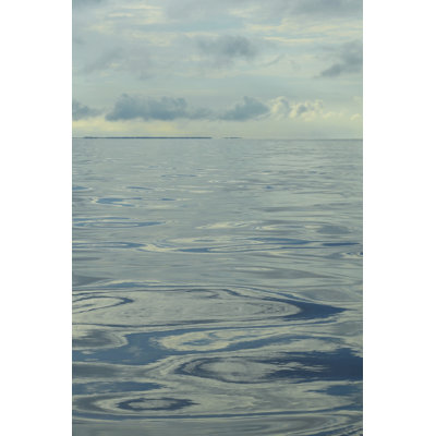 " Water II " by Sharon Chandler Painting Print