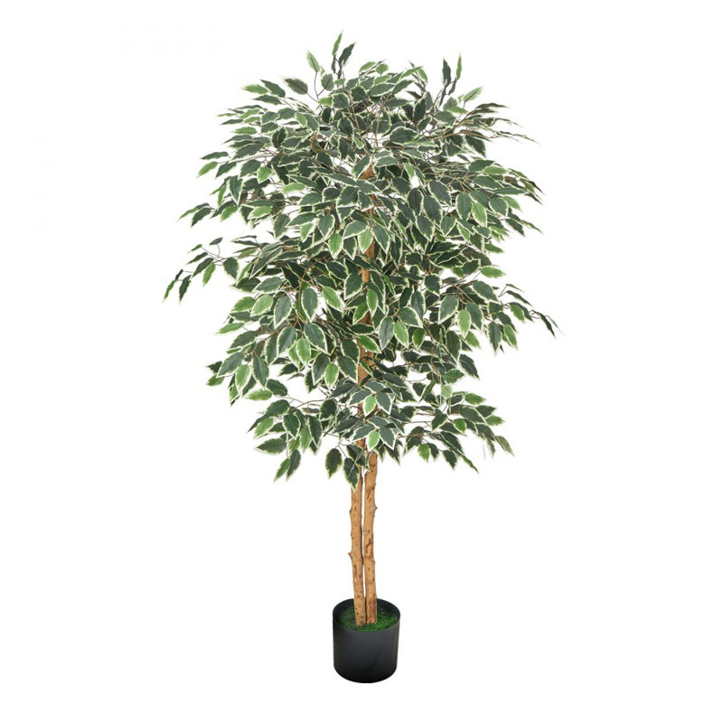 Ficus artificiel 5 pi avec plante noire