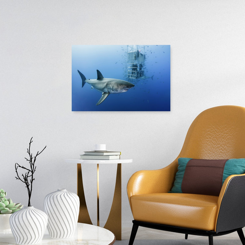 Reproduction d'art mural grand requin poisson blanc, H 16 po x l 24 po