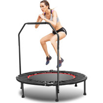 Exercise Trampolines You'll Love in 2024 - Wayfair Canada