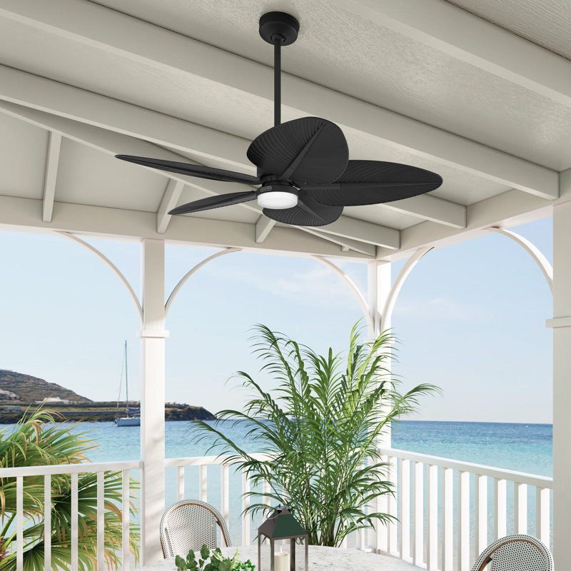 Ventilateur de plafond 52 pouces avec lumières et contrôle mural Hunter, Noir, noir, noir, noir