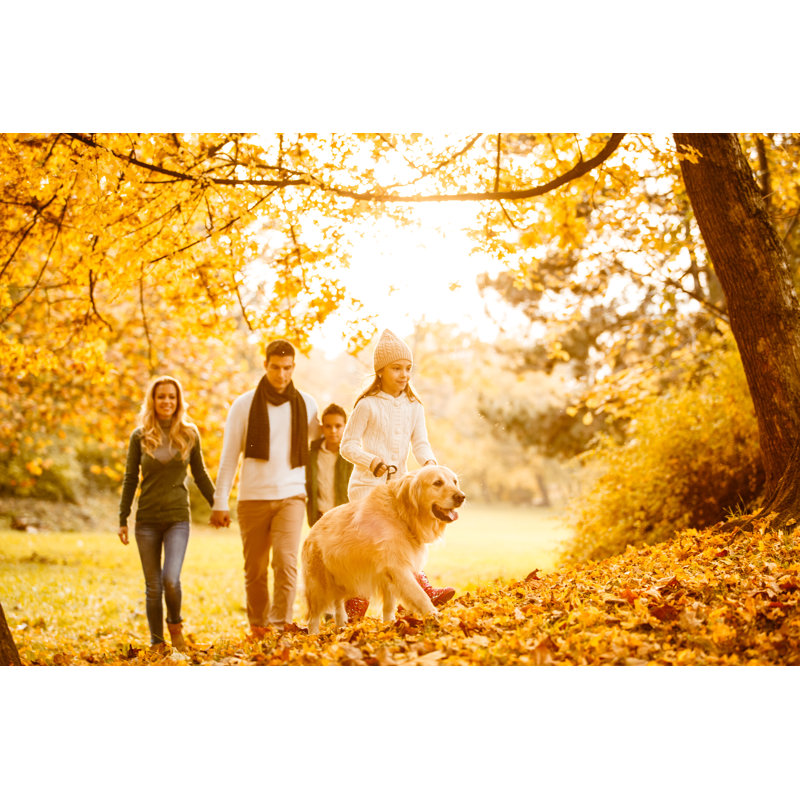 Family In Autumn Park With Their Dog by Fotostorm - No Frame Art Prints on Canvas, 61cm H x 91cm W