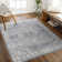 Bejou Oriental Indoor Rug