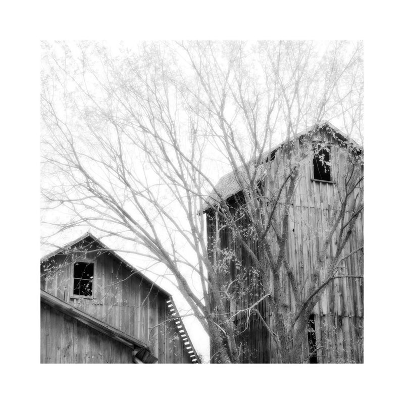 Barn Windows by Chip Forelli - Wrapped Canvas Print, 45.72 cm H x 45.72 cm W x 3.175 cm D
