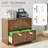 2-Drawer File Cabinet (31.5" W)-592828903