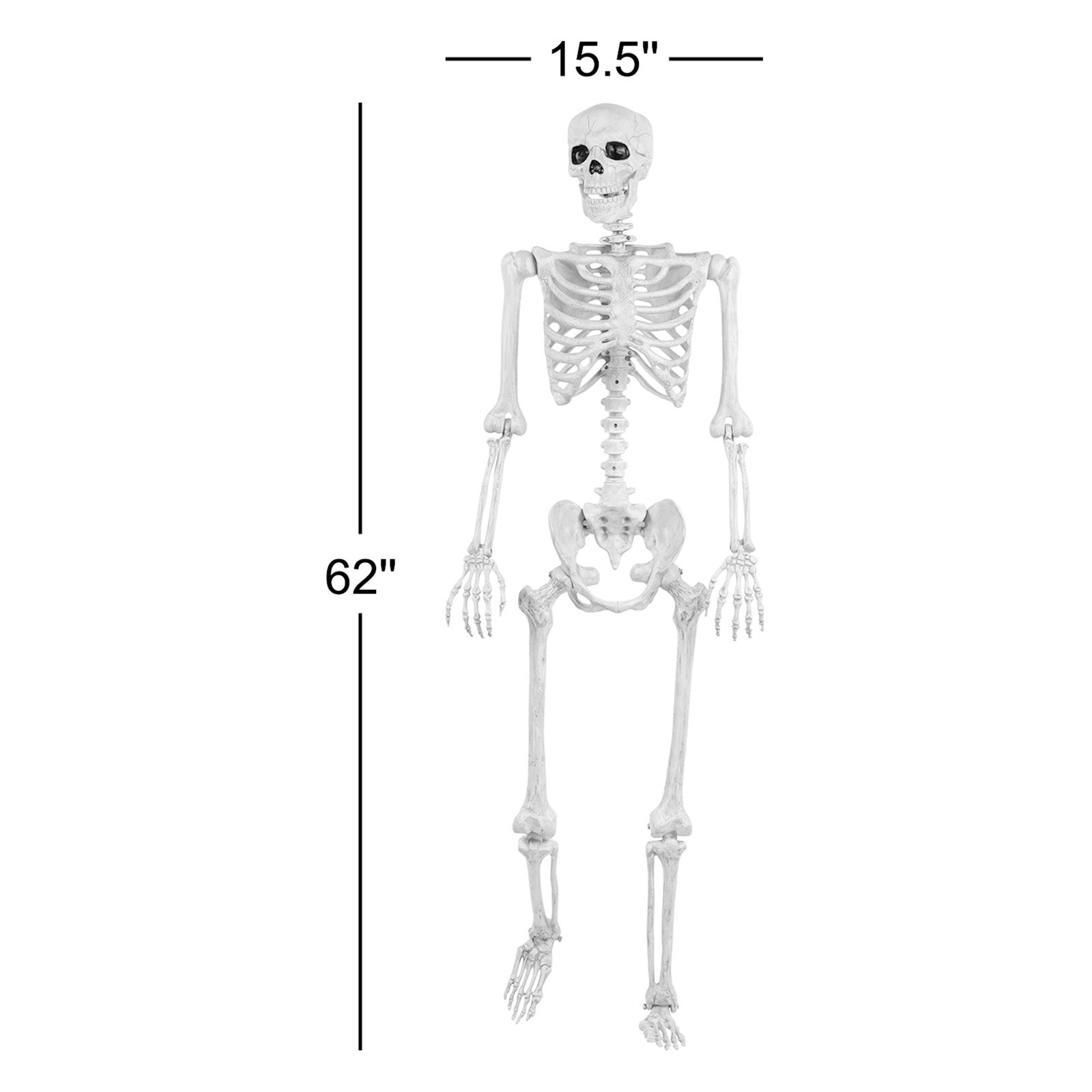 Pose-N-Stay Skeleton