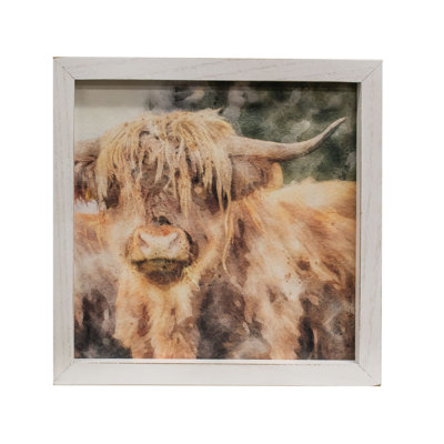 Shaggy Steer Framed Portrait
