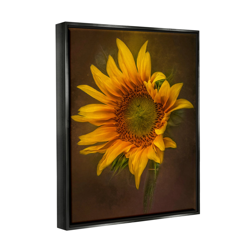 Art mural sur toile flottant Rosalind Wheeler, Cadre flottant noir de jais, H 21 po x l 17 po x P 1,7 po