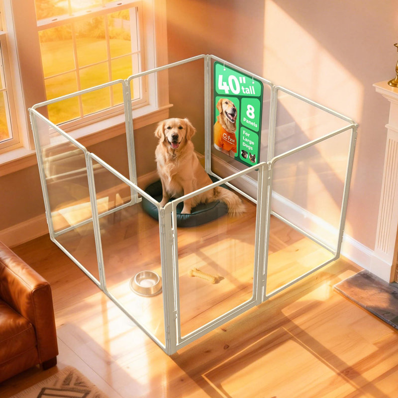 Parc pour chien d'intérieur en acrylique AuraSpace Pro de FXW, robuste avec structure en métal, hauteur de 40 po et 8 panneaux pour chiens de taille moyenne et grande, blanc