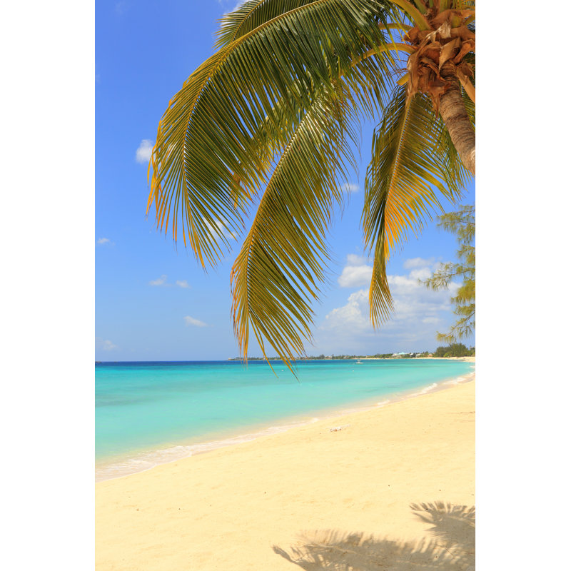 Caraïbes: Dream Beach par Shunyufan, H 30 po x l 20 po