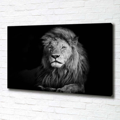 Lion 1 Piece Wrapped Canvas Wall Art