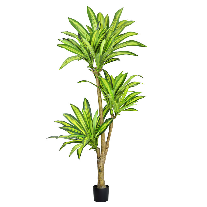 72" Artificial Dracaena Tree in Pot