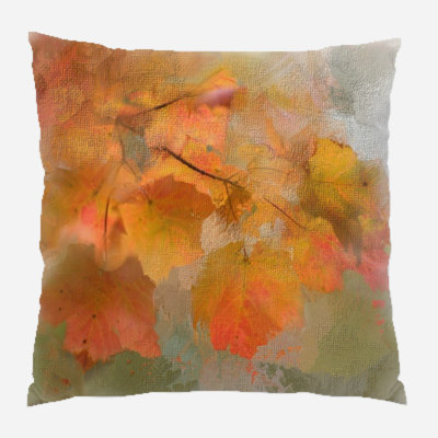  Coussin intérieur / extérieur Peinture