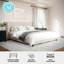 Lit plateforme tapissier Martha Stewart Kay-97967473-97967472