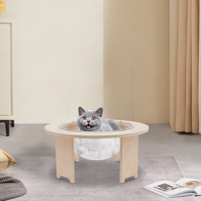 Dredyn Clear Acrylic Capsule Cat Bed with Wooden Base