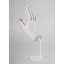 Protection Mudra