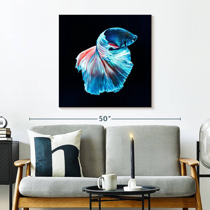 Brampt Glowing Blue Betta Fish