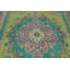 Tapis traditionnel rétro vert 6 x 9