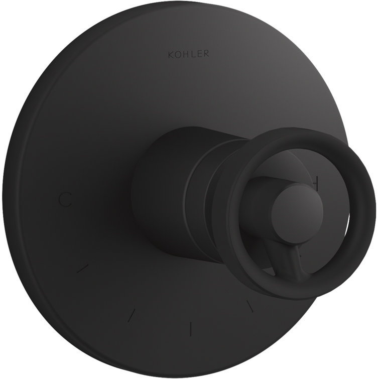 Components™ Thermostatic Valve Trim with Industrial Handle