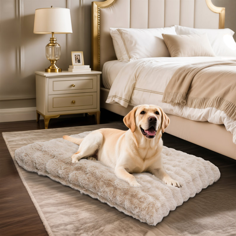 Dog Bed, Beige, 12cm H x 105cm W x 70cm D