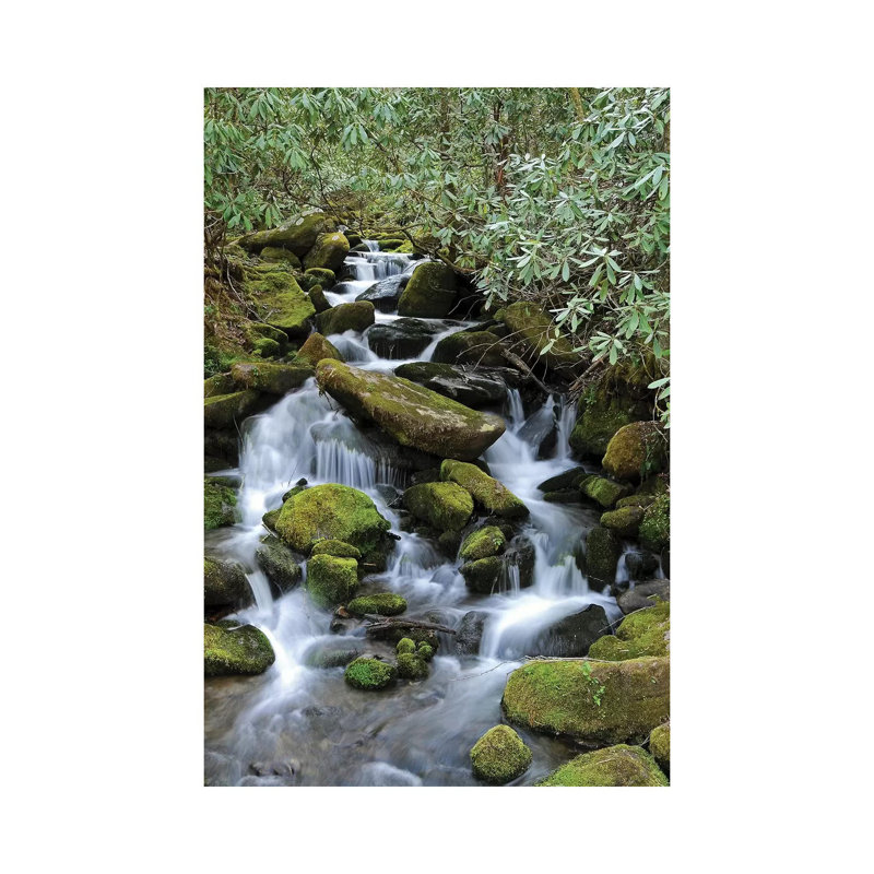 Smokey Mountain Waterfall by Brian Wolf - Wrapped Canvas Print, 30.48cm H x 20.32cm W x 1.91cm D