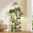 63" Tall Plant Stand Indoor with Grow Lights, Brown