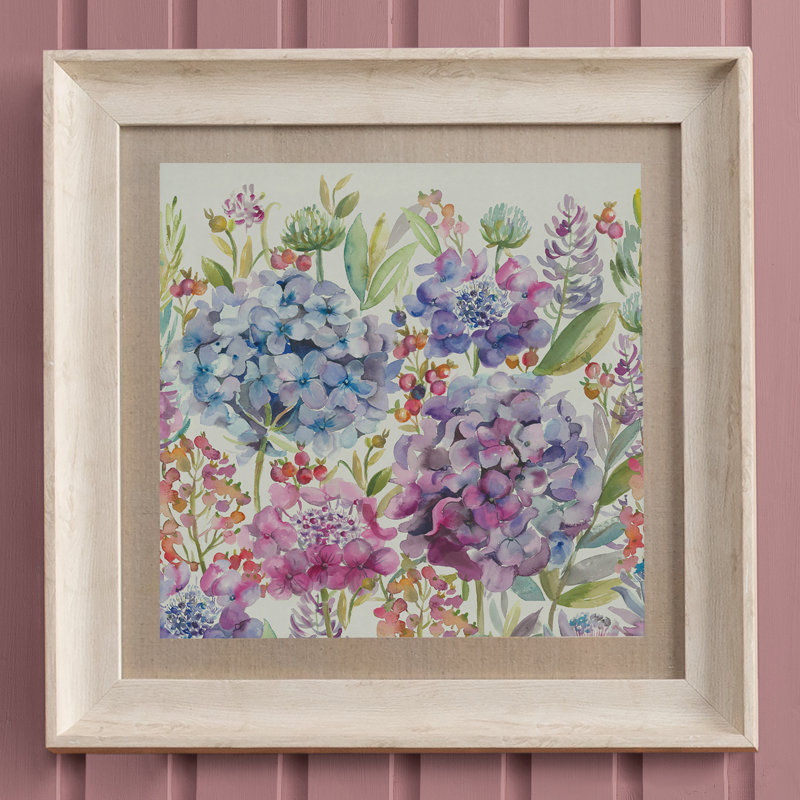 Hydrangea - Single Picture Frame Print