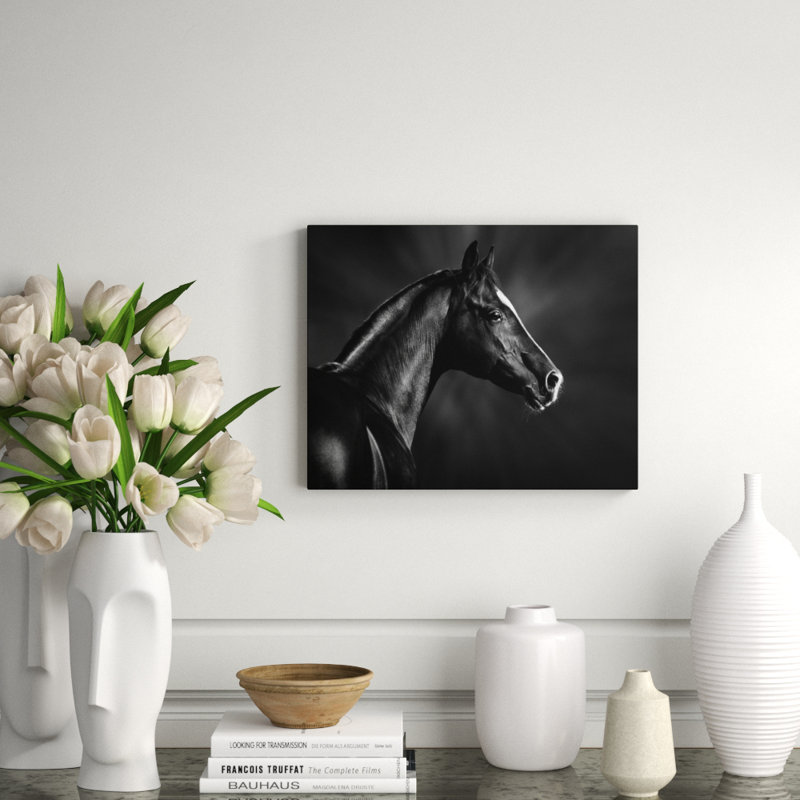 Black Horse Profile Print, 16" H x 20" W