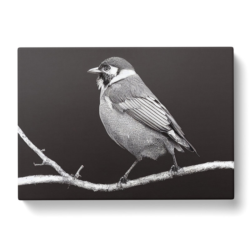Attractive Bird - Wrapped Canvas Painting, 35cm H x 50cm W x 3cm D