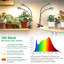 Naomi Grow Light