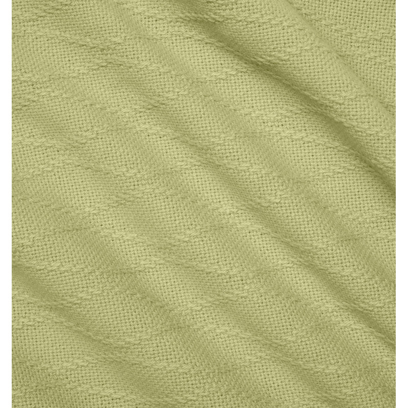 Cetara Sham, Super Euro, Kiwi