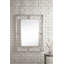 Boston Rectangle Stainless Steel Beveled Mirror-51087324