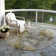 Killingly Washable Abstract Indoor / Outdoor Rug