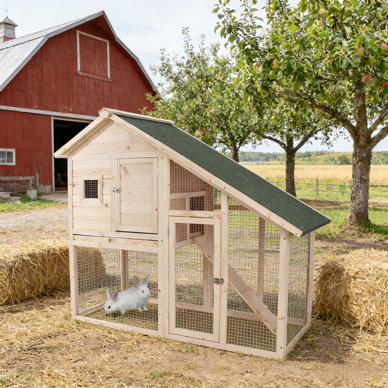 Cage à lapin