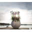 Pot Planter-332018650-393093553