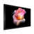Black Picture Frame
