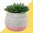5 " H Faux Succulent in Ceramic Pot-137759542