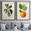 Feuillage antique et fruit VI - ensemble de 2 reproductions d'art sur papier encadré-1457858240-1457858247